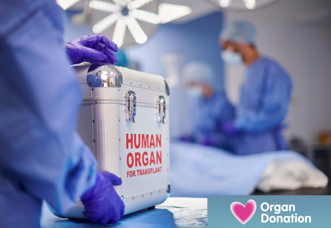 Organ in box