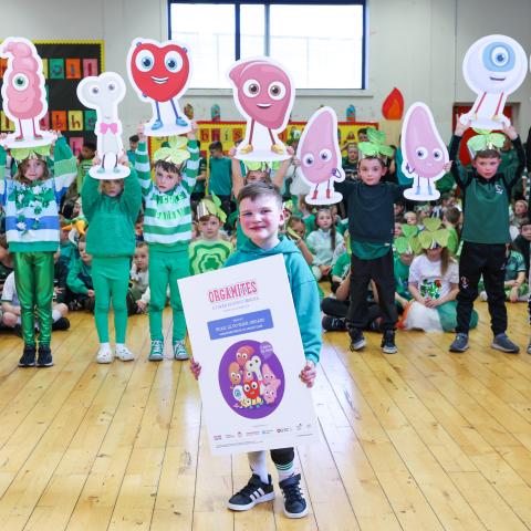 Irish school resources