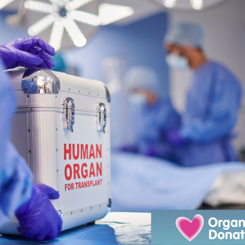 Organ in box